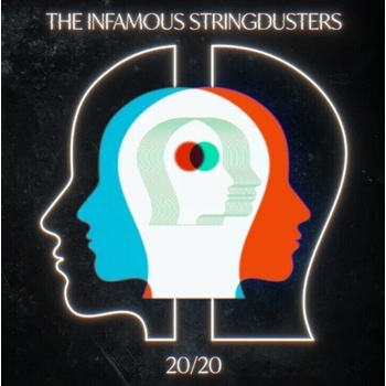 The Infamous Stringdusters - 20 / 20 (Gatefold Sleeve) (2 LP) (0198704553851)