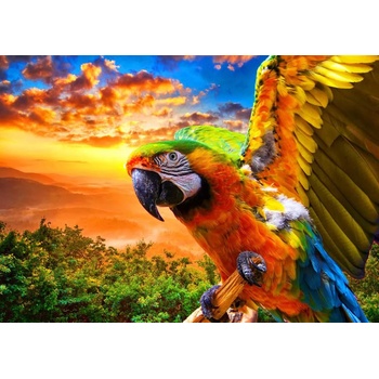 Image 1 of Bluebird Puzzle - Puzzle Parrot 1000 Bluebird - 1 000 piese