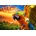 Bluebird Puzzle - Puzzle Parrot 1000 Bluebird - 1 000 piese