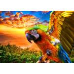 Bluebird Puzzle - Puzzle Parrot 1000 Bluebird - 1 000 piese