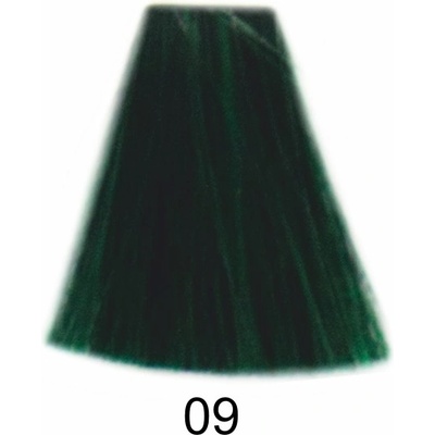 Glossco farba 09 zelená 100 ml