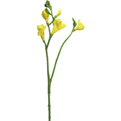 Frézie - Freesia 'Floramunda' zlutá 65 cm