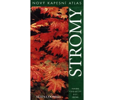Stromy