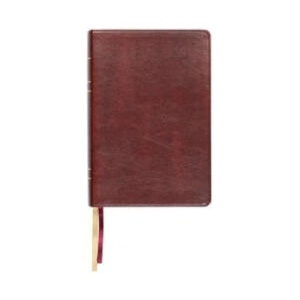 Lsb Large Print Wide Margin Paste-Down Reddish-Brown Faux Leather (ISBN: 9781636640723)
