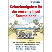 Schachaufgaben fur die einsame Insel Sammelband