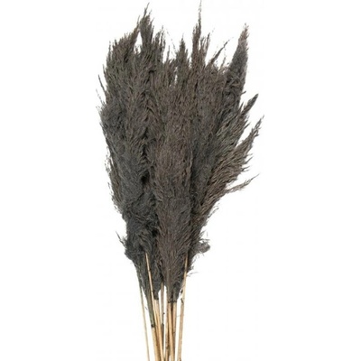 Šedá kytice sušené květy bambusu Bamboo – 100 cm