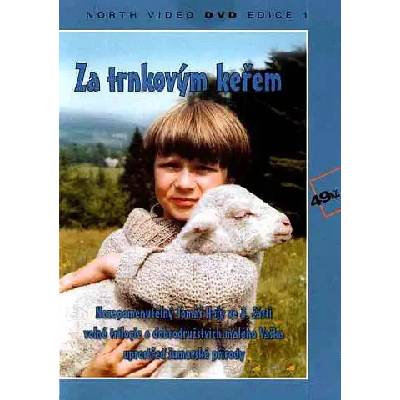 DM discont Behind the Sloe-Bush - DVD (005484)