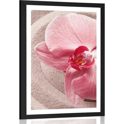 Plakát s paspartou mořský písek a růžová orchidej - 20x30 white
