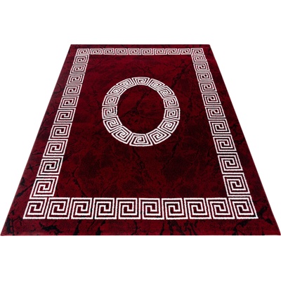 Ayyildiz Plus 8009 red