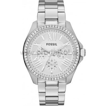 Fossil AM 4481