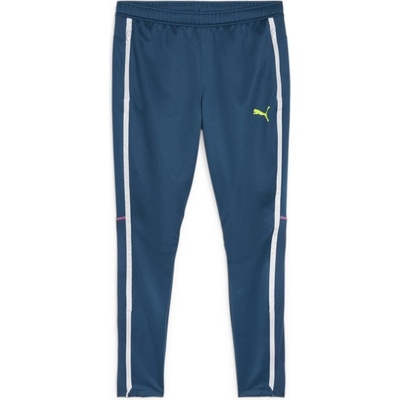 Puma individualBLAZE Women Training pants 659008-10