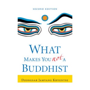 What Makes You Not a Buddhist (ISBN: 9781645474234)