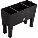 Prosperplast DRTC600H truhlík
