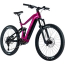 Leader Fox Acron 2 2024