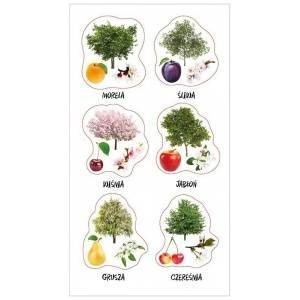 Ranok Creative Polish orchard stickers
