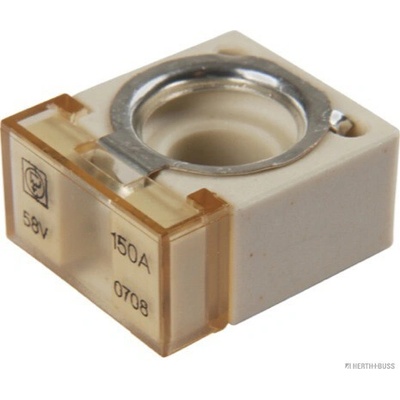 Poistka HERTH+BUSS ELPARTS 50295884