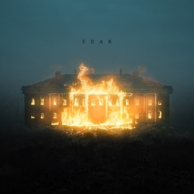 NF - Fear (12'' EP) (0602478792632)