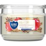 BISPOL Ароматна свещ Bispol Aura - Apple and Cinnamon, 280 g (snp106-87)
