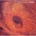 CATHERINE WHEEL: FERMENT CD
