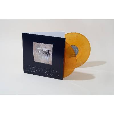 Lambchop - The Bible (Limited Edition) (2 LP) (4250506843526)