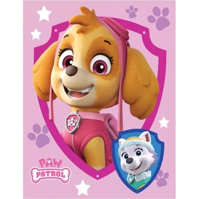 BrandMac Dievčenská fleecová deka Labková patrola Skye a Everest