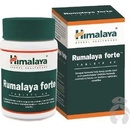 Himalaya Rumalaya Forte 60 tabliet