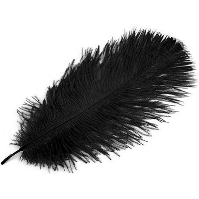 Pštrosí peří délka cca 20-25 cm černá 2 ks