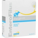 Enterofilus 12 x 10ml