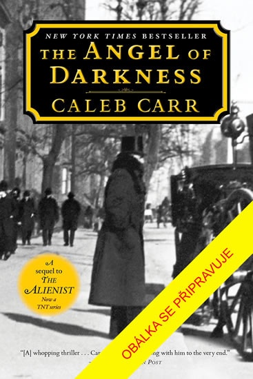 Anděl temnoty - Caleb Carr