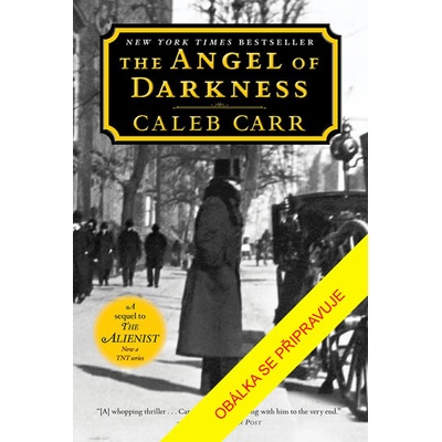 Anděl temnoty - Caleb Carr