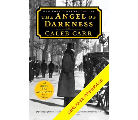Anděl temnoty - Caleb Carr
