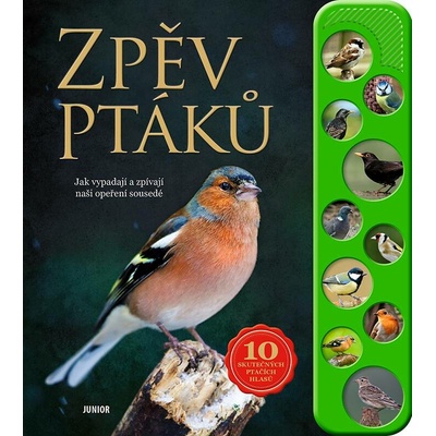 Zpěv ptáků