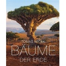 Bäume der Erde