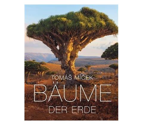Bäume der Erde