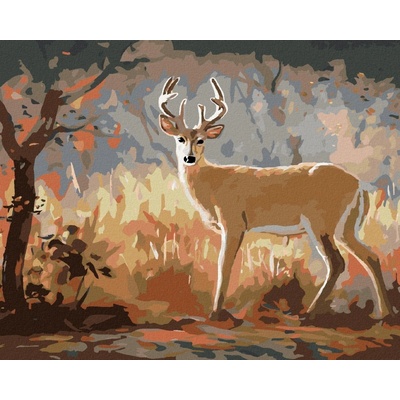 zuty Malování Podle Čísel Mladý Jelen A Podzimní Les D. Rusty Rust 40 x 50 Cm Plátno Rám