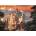 Trefl - Puzzle Neuschwanstein in winter, Bavaria, Germany - 3 000 piese