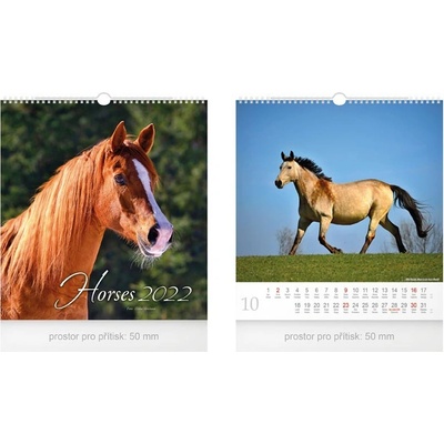MFP 1061252 nástěnný malý Horses 2022