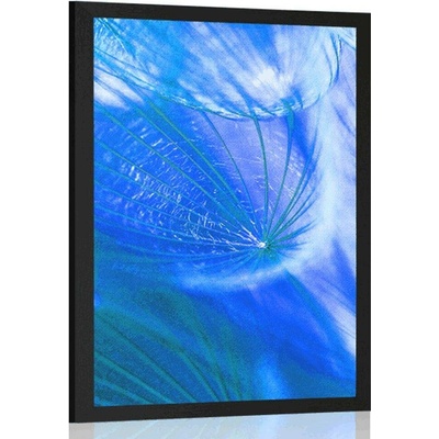 Plakát krásná pampeliška v modrém provedení - 20x30 white