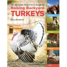 An Absolute Beginner's Guide to Raising Backyard Turkeys