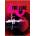 The Cure DVD