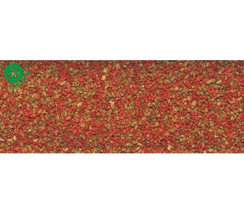 Dajana Basic granules 30 g