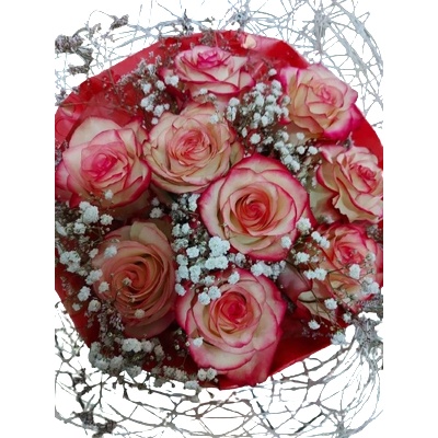 БУКЕТ ОТ ОМБРЕ РОЗИ (ТЪМНО РОЗОВИ - БЕЛИ)