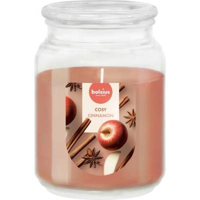 Bolsius True Scents Apple Cinnamon 100 x 135 mm