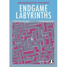 Endgame Labyrinths