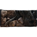 ATG pozadie Amazon 60 x 30 cm