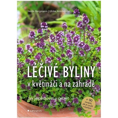 Léčivé byliny v květináči a na zahradě