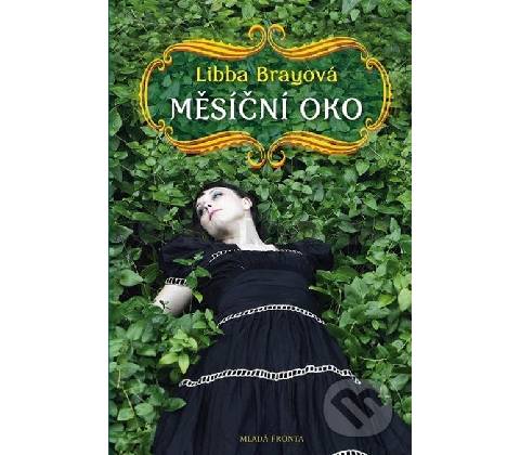 Měsíční oko