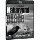 Nabarvené ptáče BD