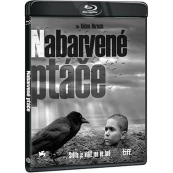 Nabarvené ptáče BD
