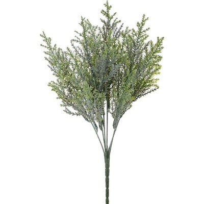 ZELEŇ TUJA SIVO-ZELENÁ 32CM